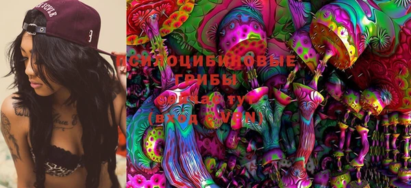PSILOCYBIN Белокуриха