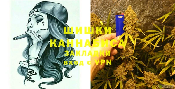 PSILOCYBIN Богородицк