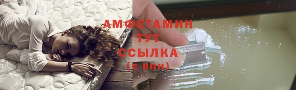 PSILOCYBIN Белокуриха