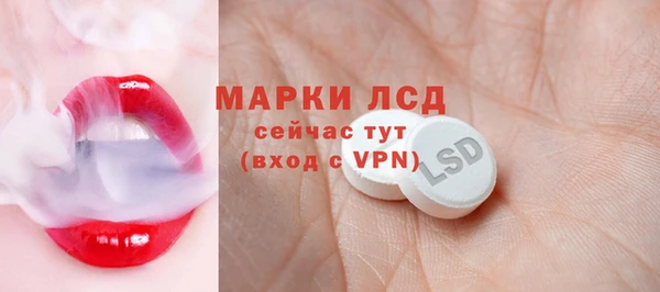 шишки Богородск