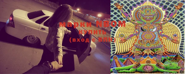 PSILOCYBIN Белокуриха