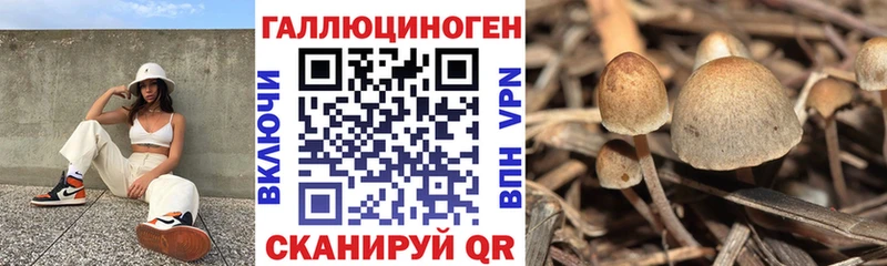 МЕГА маркетплейс  Михайловка  Галлюциногенные грибы ЛСД  даркнет телеграм  как найти закладки 