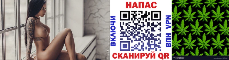 как найти наркотики  Михайловка  Бошки марихуана планчик 